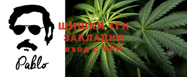mdpv Козловка