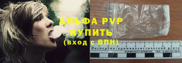 ешки Корсаков