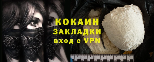 ешки Корсаков