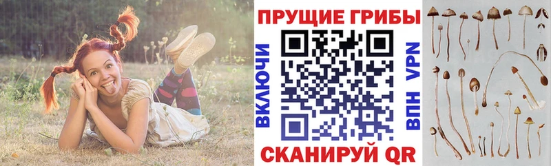 кракен tor  Красноуральск  Псилоцибиновые грибы Magic Shrooms 